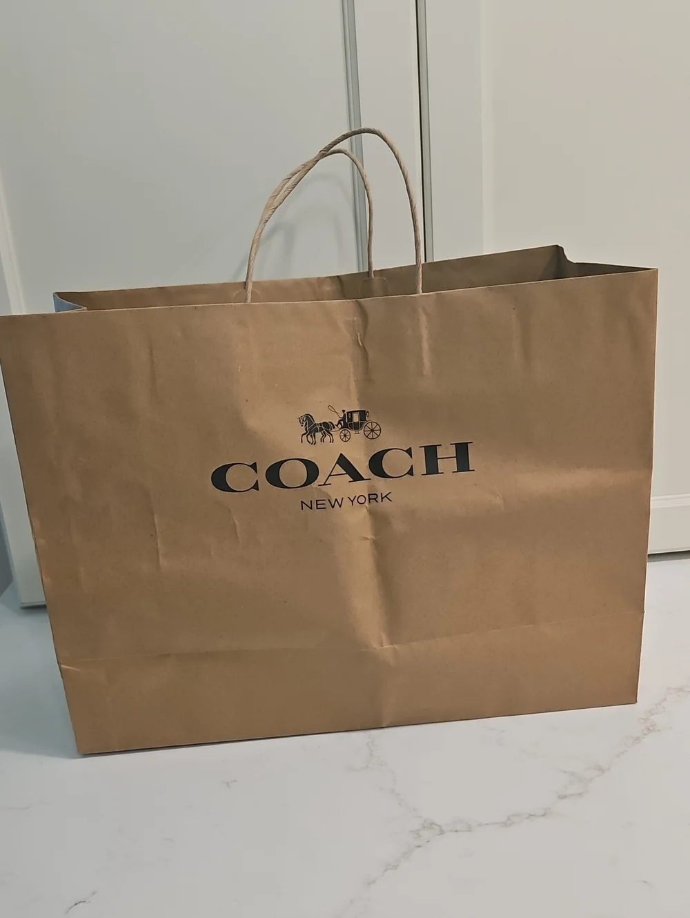 Coach Paper Bag Retail Gift Unisex